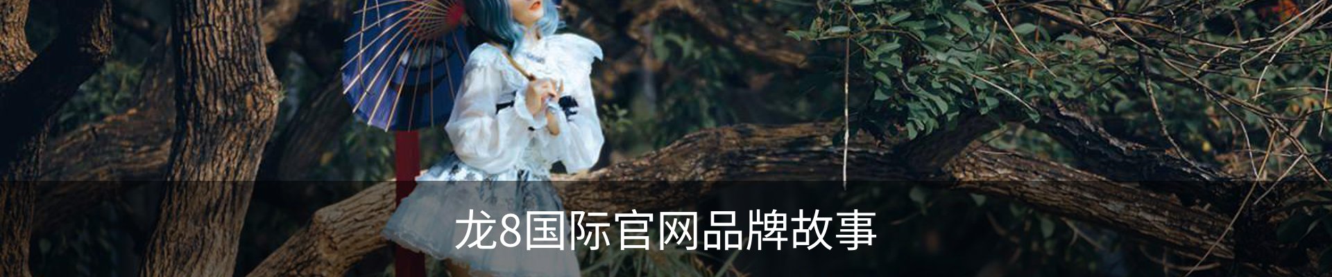 龙8国际官网品牌故事